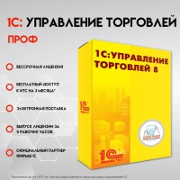 1С Управление торговлей ПРОФ 8. Электронная поставка